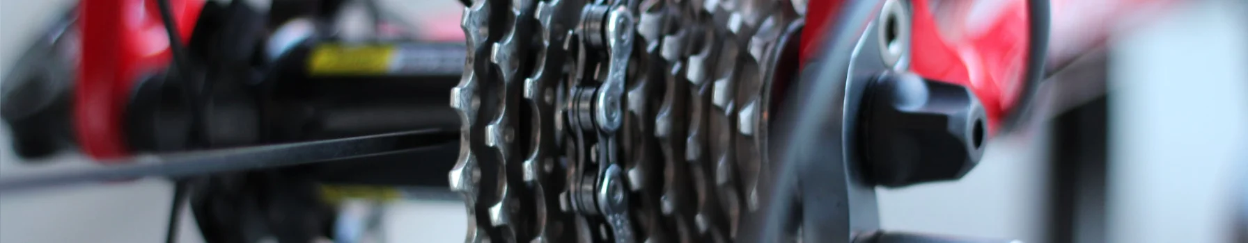 Bike Repair, Service & Fitting